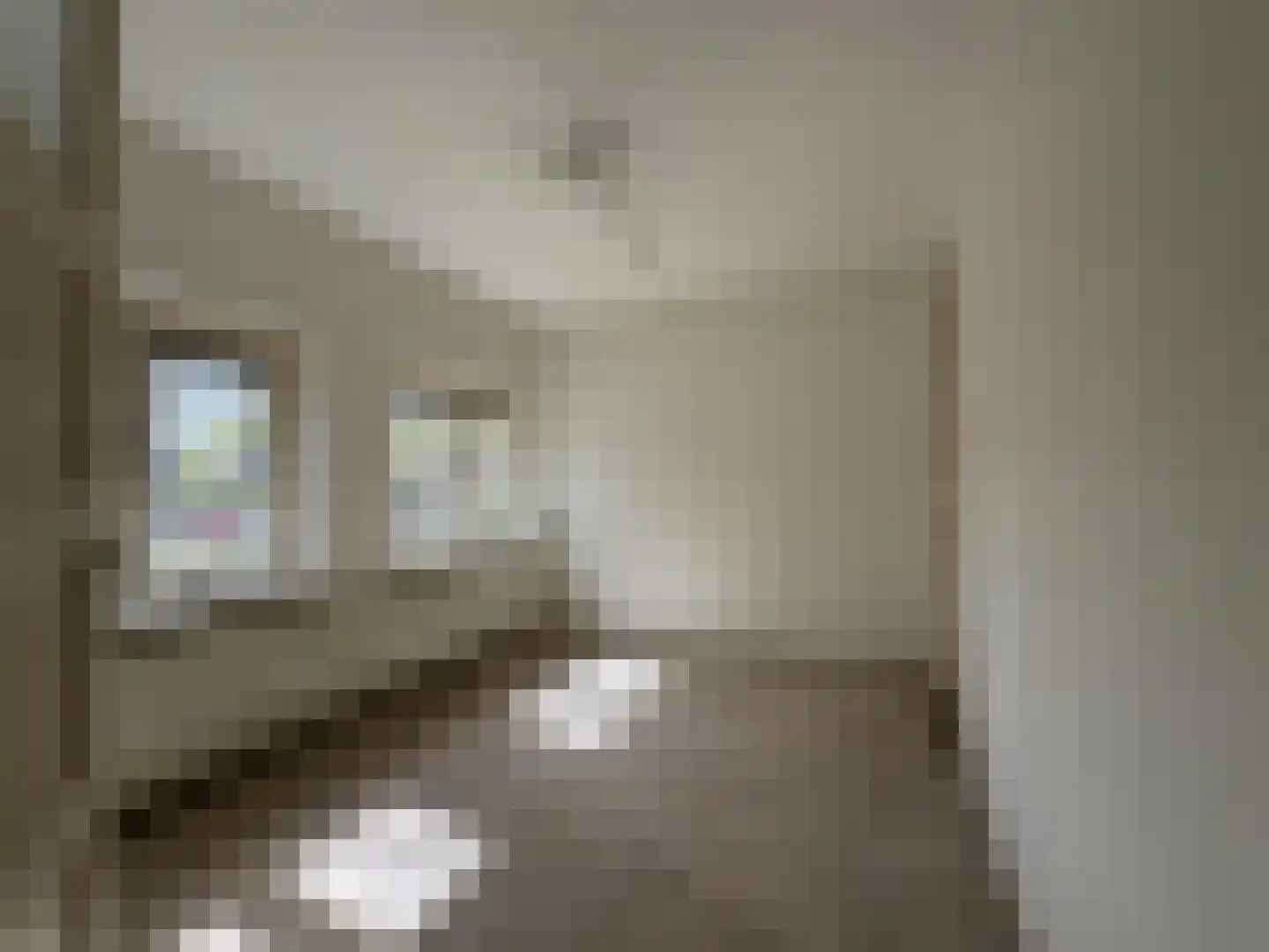Krulwilgstraat 9 Nijmegen thumbnail 21