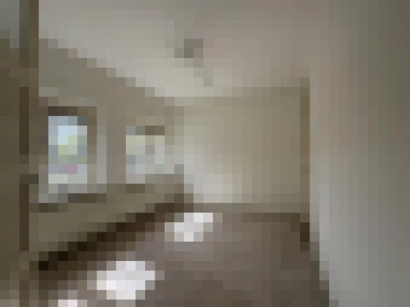 Krulwilgstraat 9 Nijmegen thumbnail 21