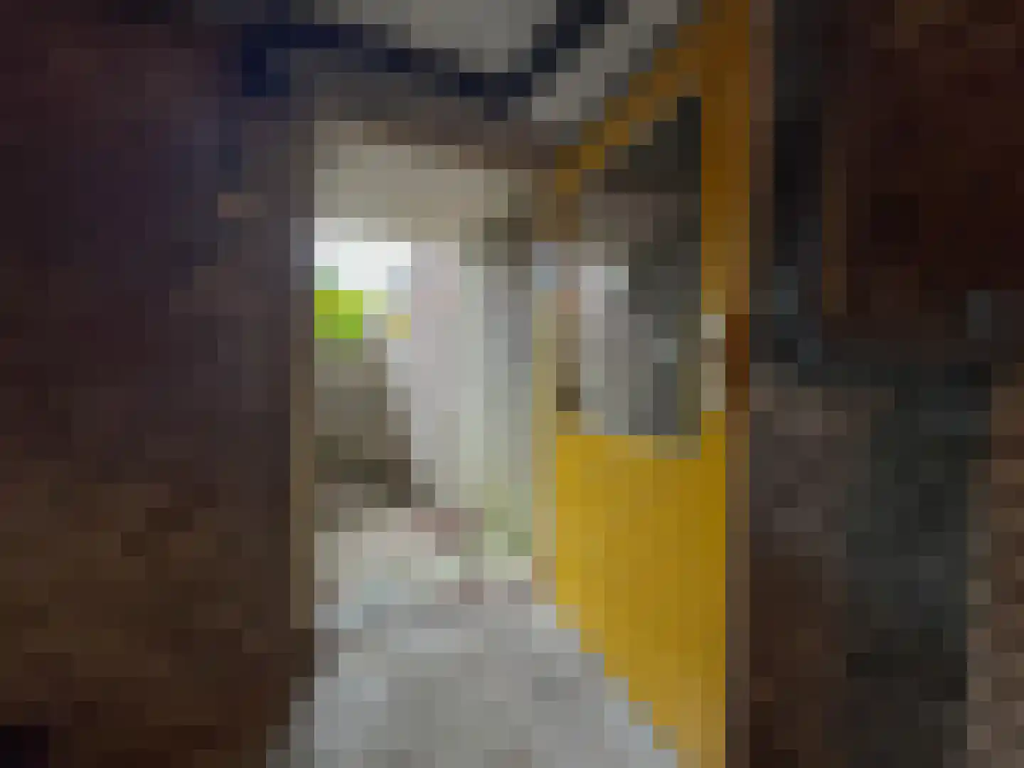 Krulwilgstraat 9 Nijmegen thumbnail 24