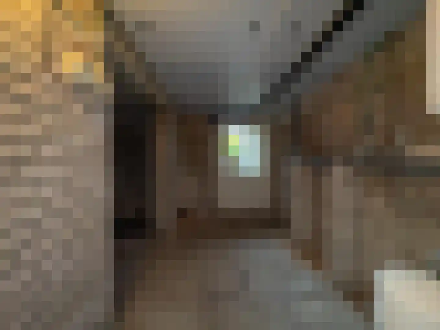 Krulwilgstraat 9 Nijmegen thumbnail 26