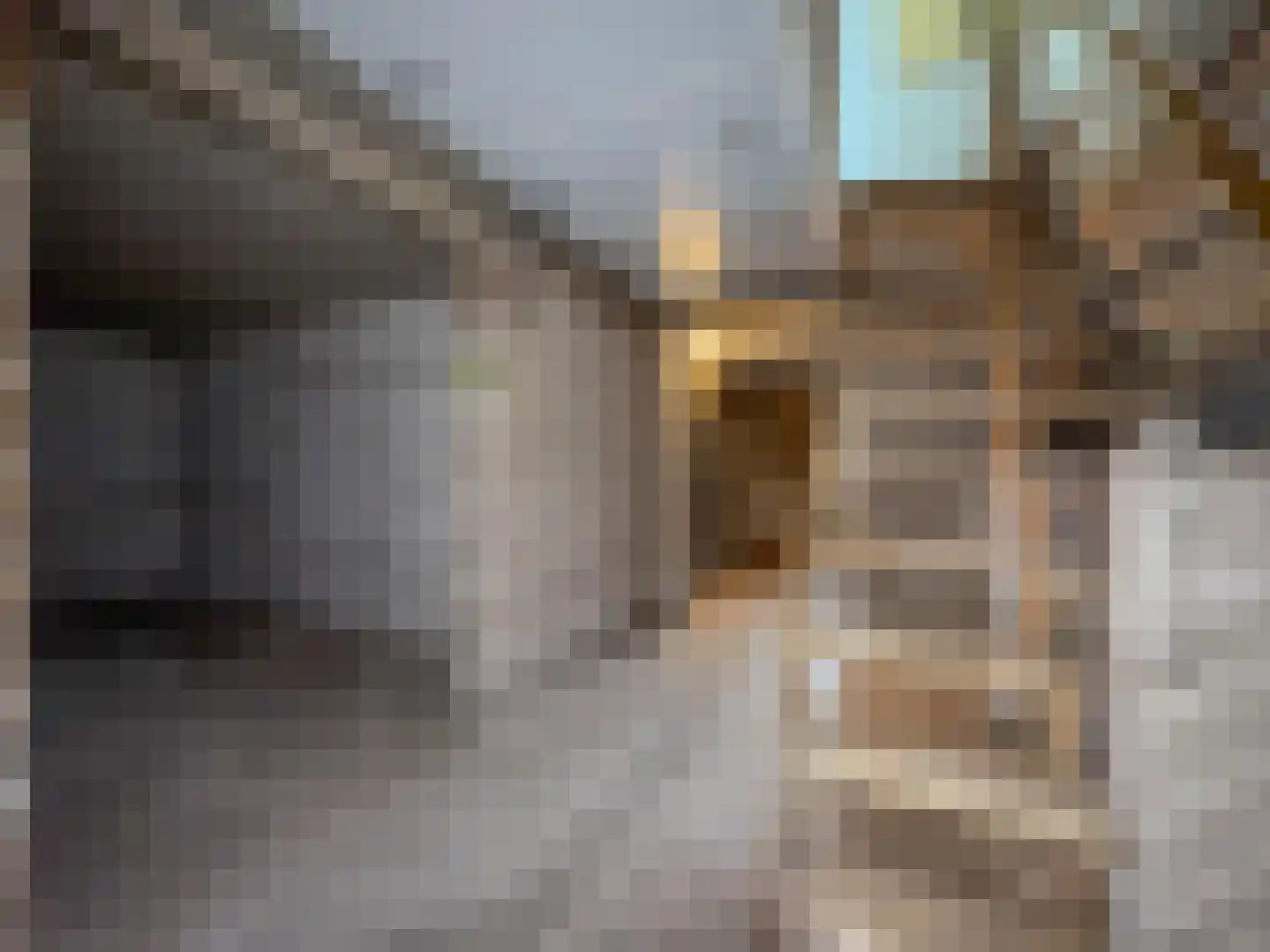 Krulwilgstraat 9 Nijmegen thumbnail 28