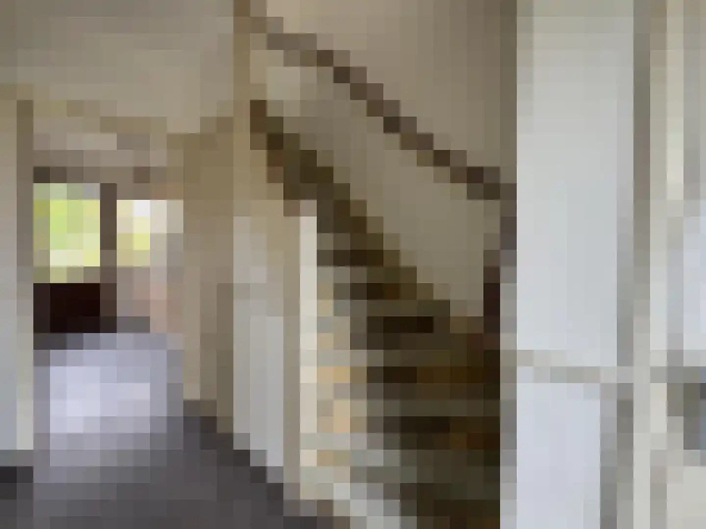 Krulwilgstraat 9 Nijmegen thumbnail 4