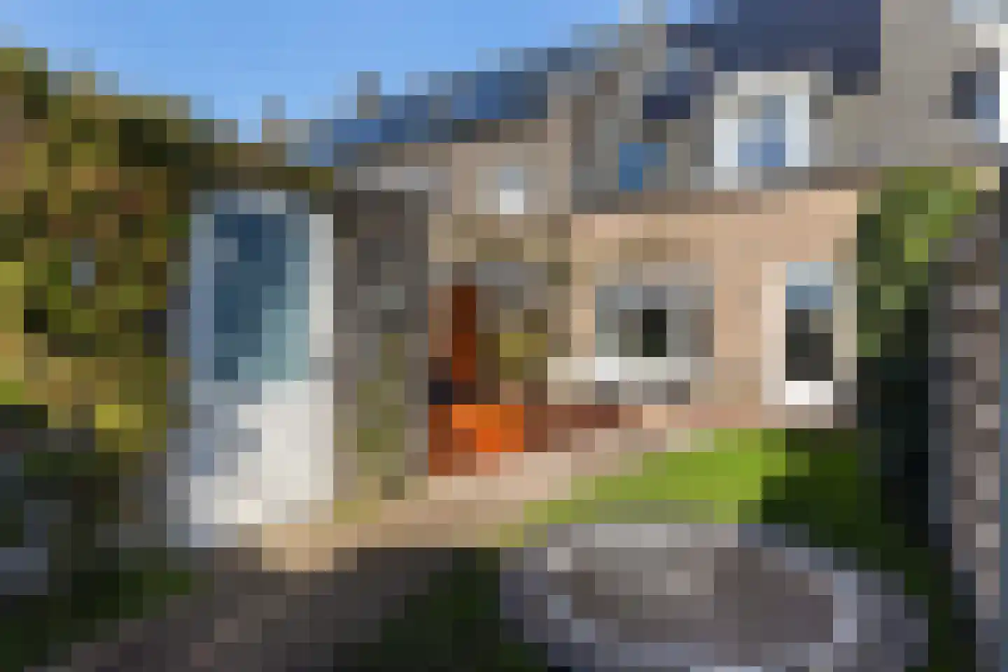 Krulzoom 12 Apeldoorn thumbnail 11