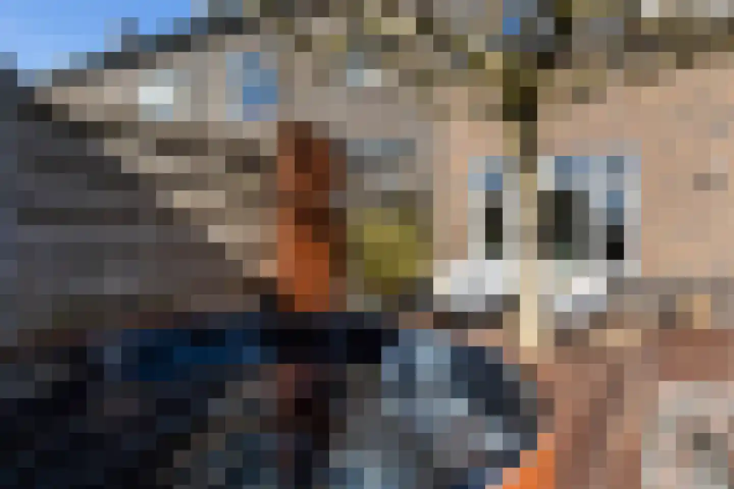 Krulzoom 12 Apeldoorn thumbnail 14