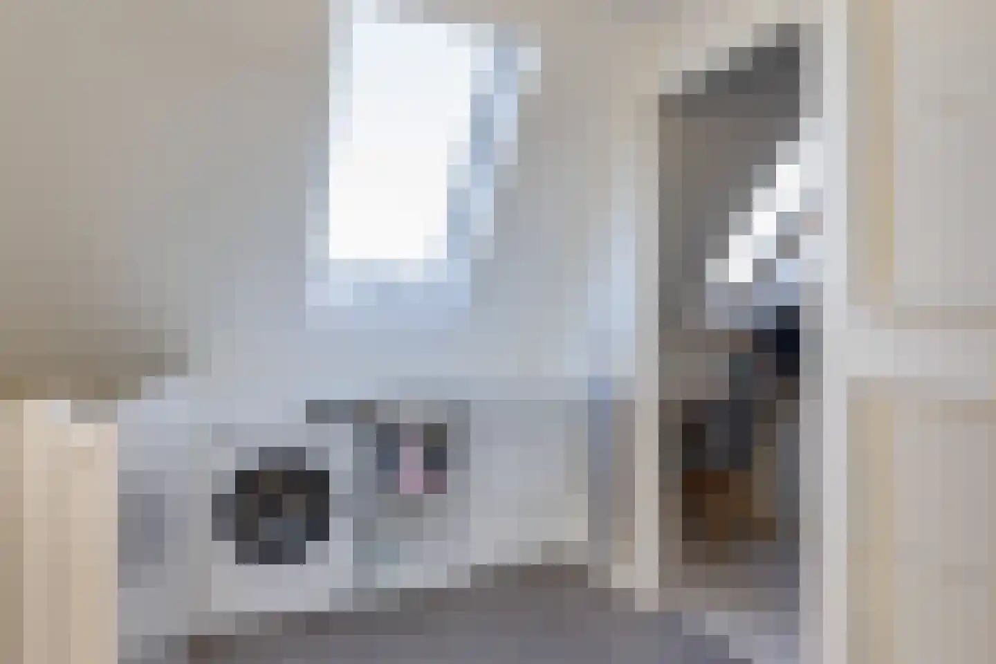 Krulzoom 12 Apeldoorn thumbnail 31