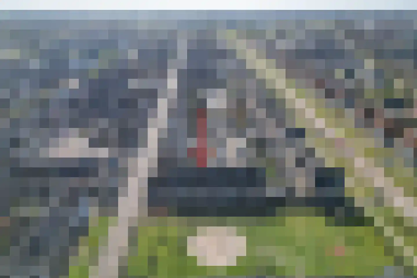 Krulzoom 12 Apeldoorn thumbnail 39