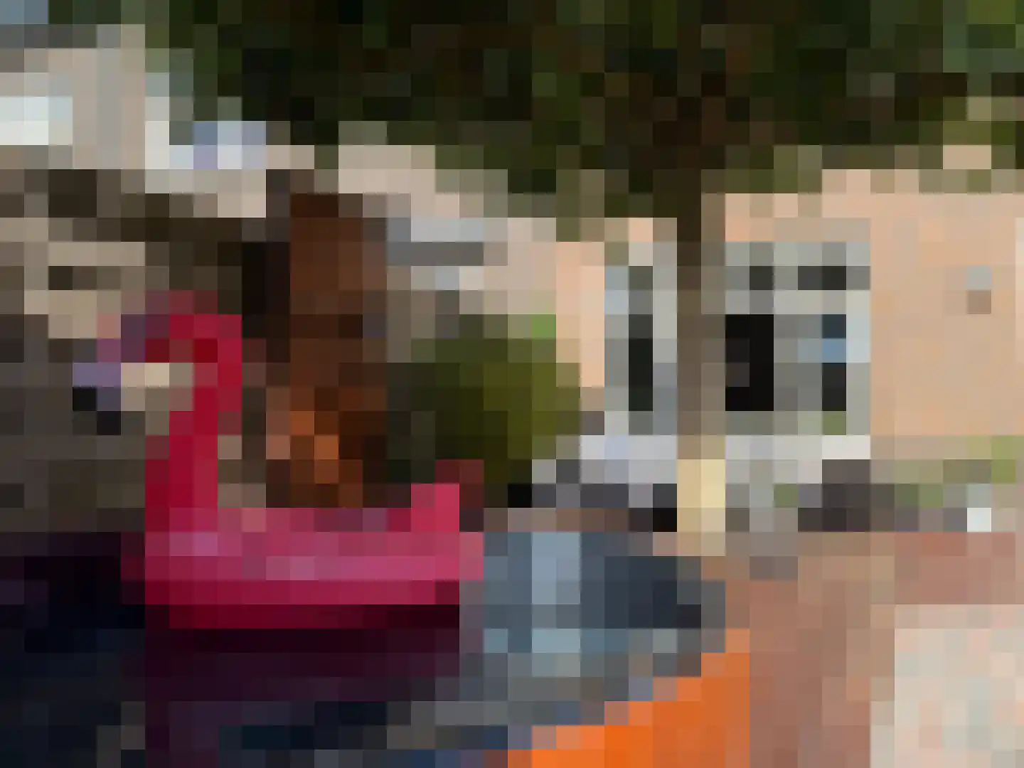 Krulzoom 12 Apeldoorn thumbnail 43