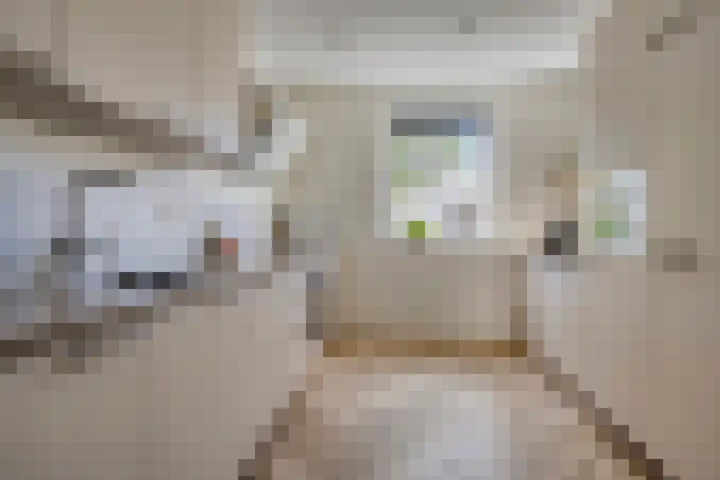 Krulzoom 40 Assen thumbnail 11