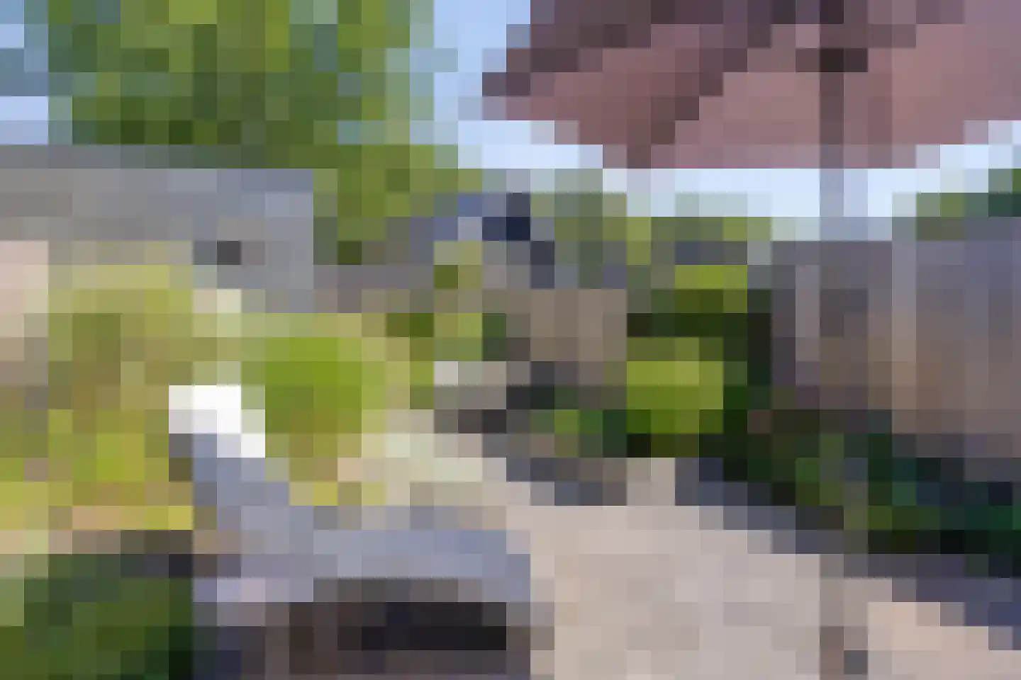 Krulzoom 40 Assen thumbnail 13