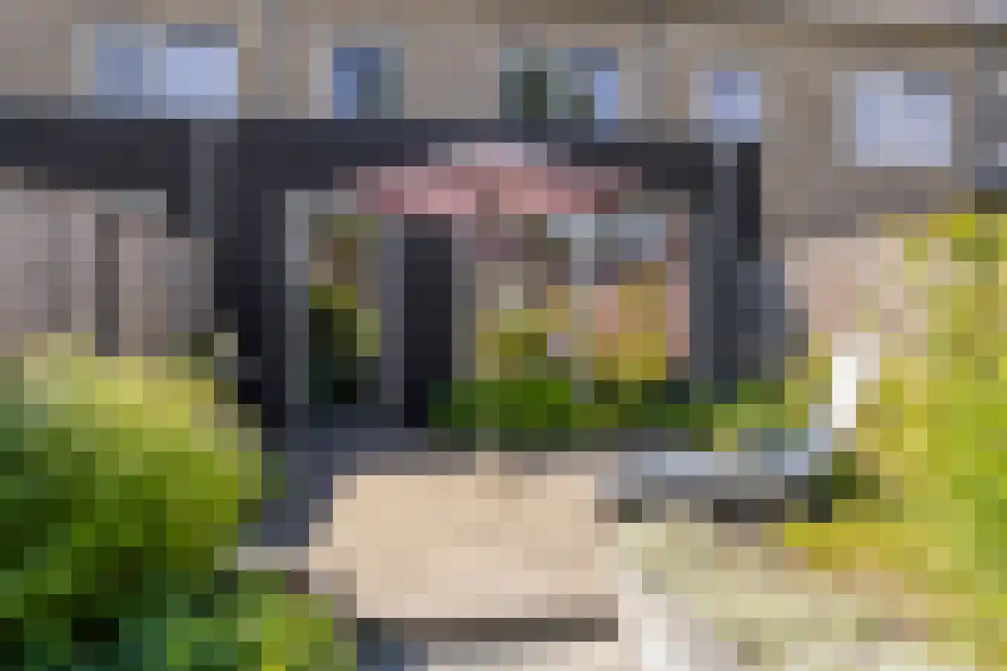 Krulzoom 40 Assen thumbnail 14