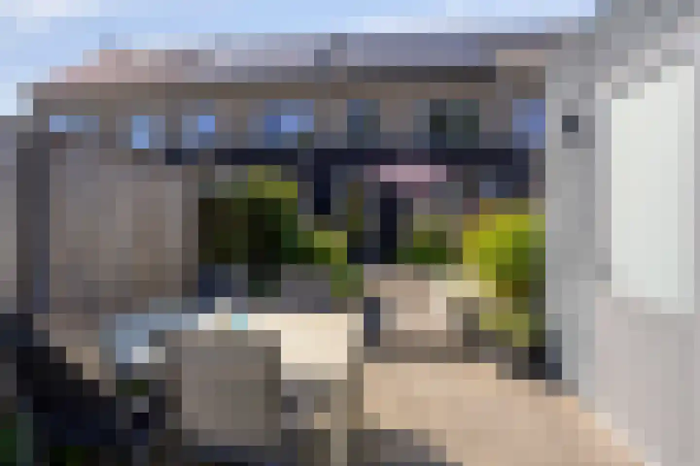 Krulzoom 40 Assen thumbnail 15
