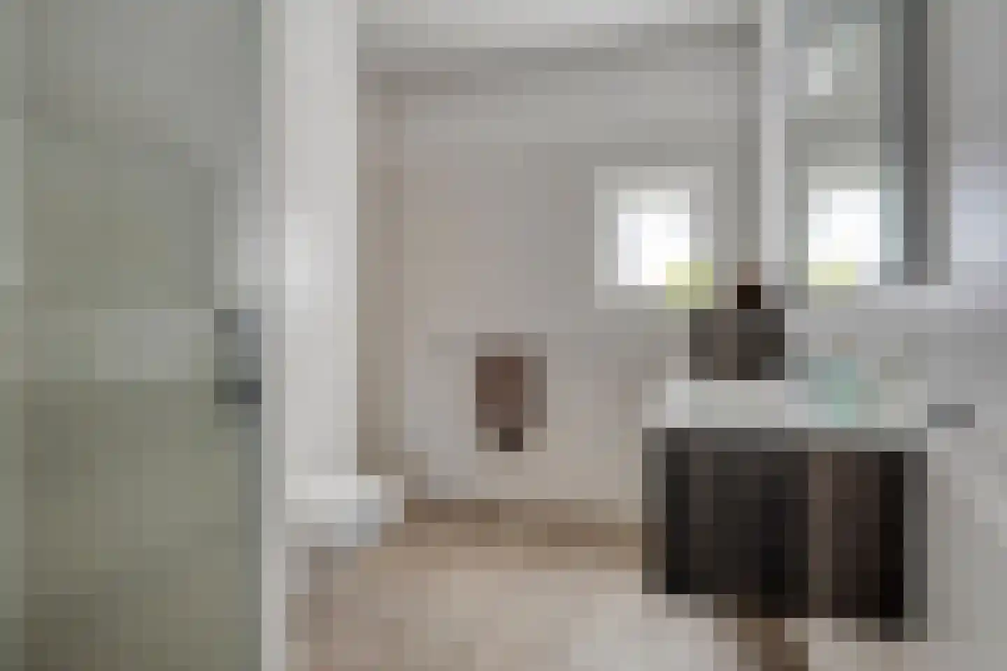 Krulzoom 40 Assen thumbnail 22