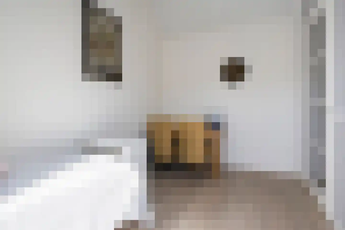 Krulzoom 40 Assen thumbnail 27