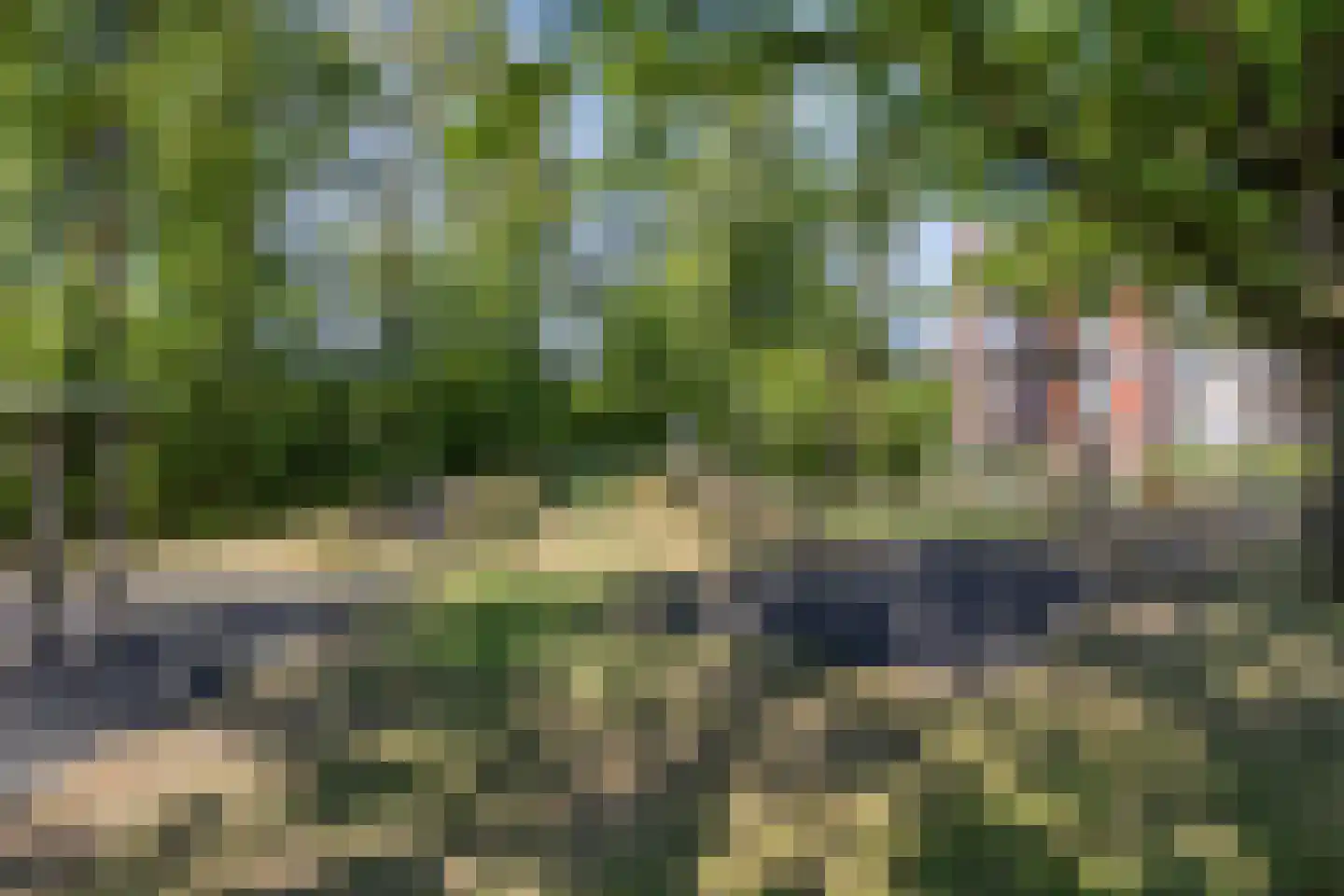 Krulzoom 40 Assen thumbnail 29