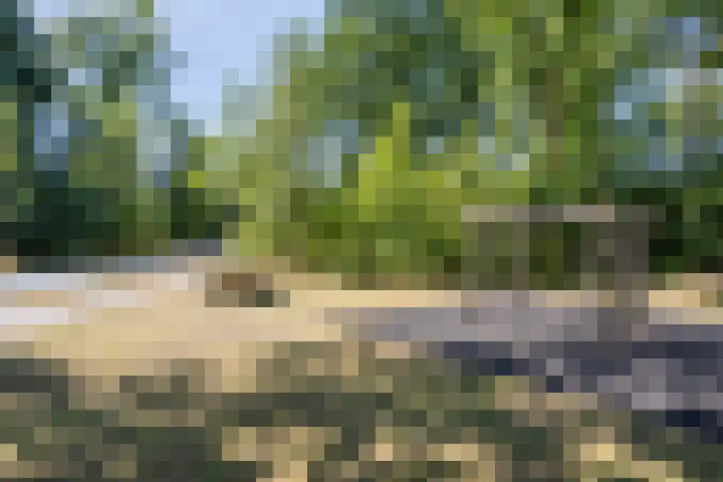 Krulzoom 40 Assen thumbnail 30