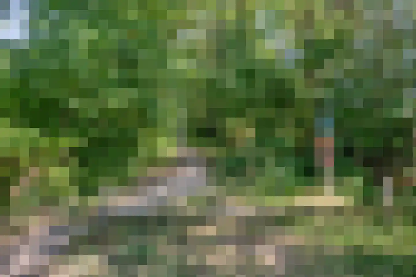 Krulzoom 40 Assen thumbnail 31