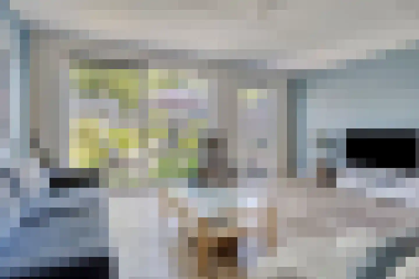 Krulzoom 40 Assen thumbnail 6