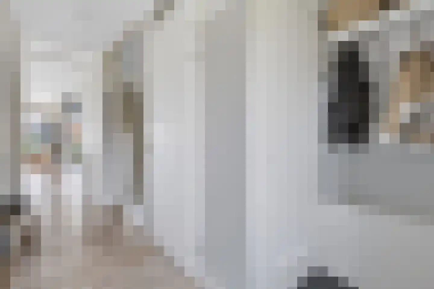 Krulzoom 46 Assen thumbnail 10