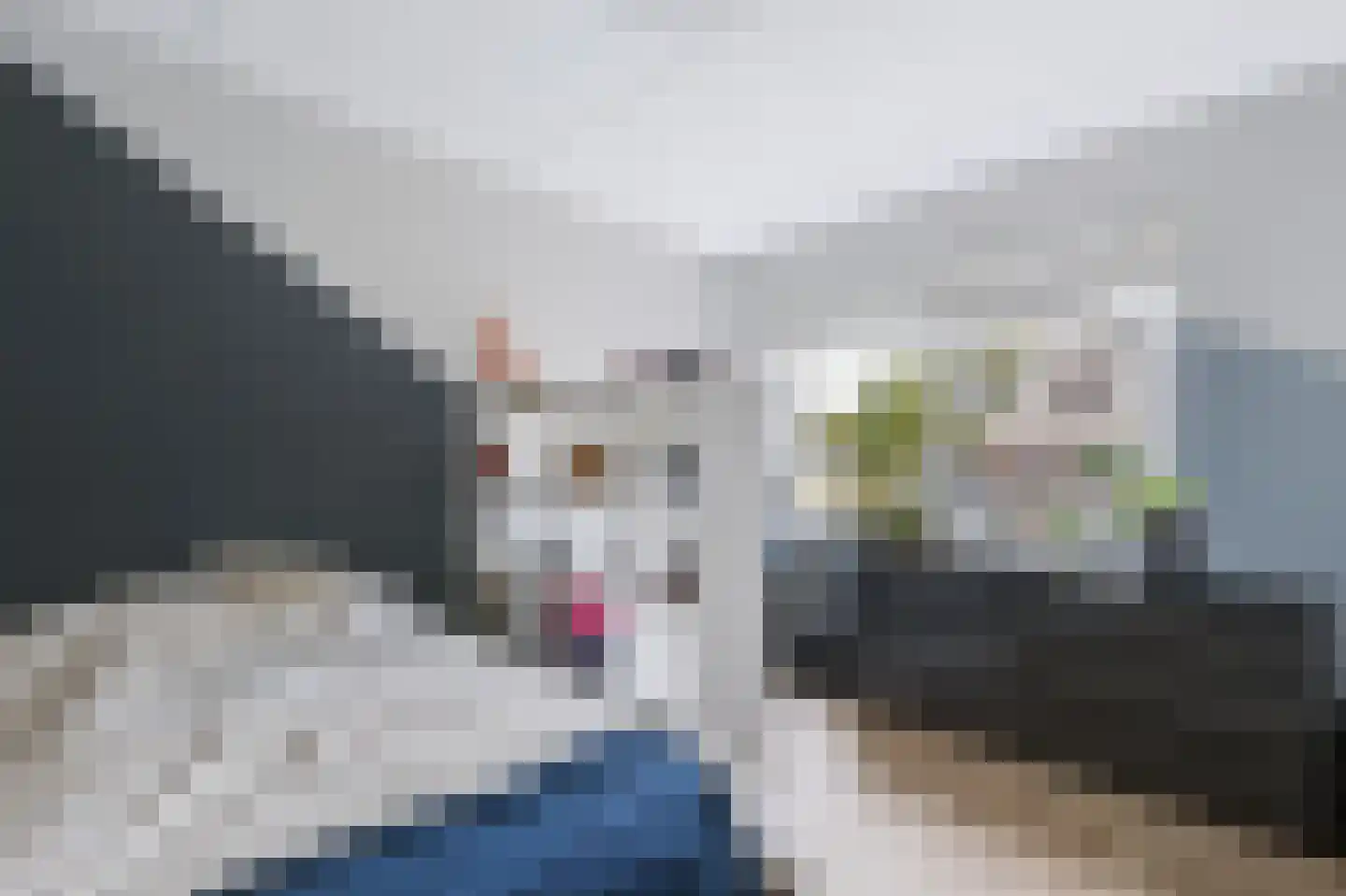 Krulzoom 46 Assen thumbnail 12