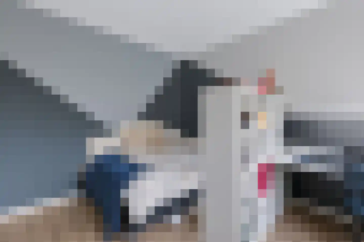Krulzoom 46 Assen thumbnail 13