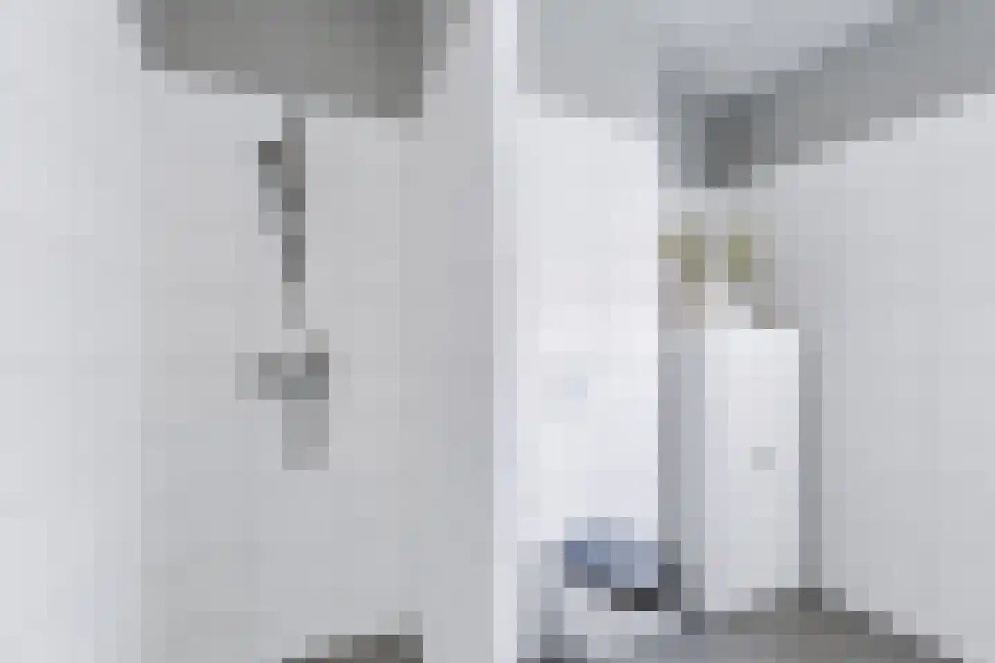 Krulzoom 46 Assen thumbnail 16