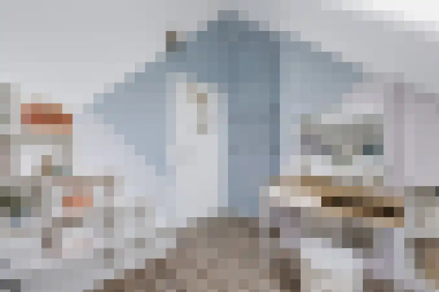 Krulzoom 46 Assen thumbnail 18