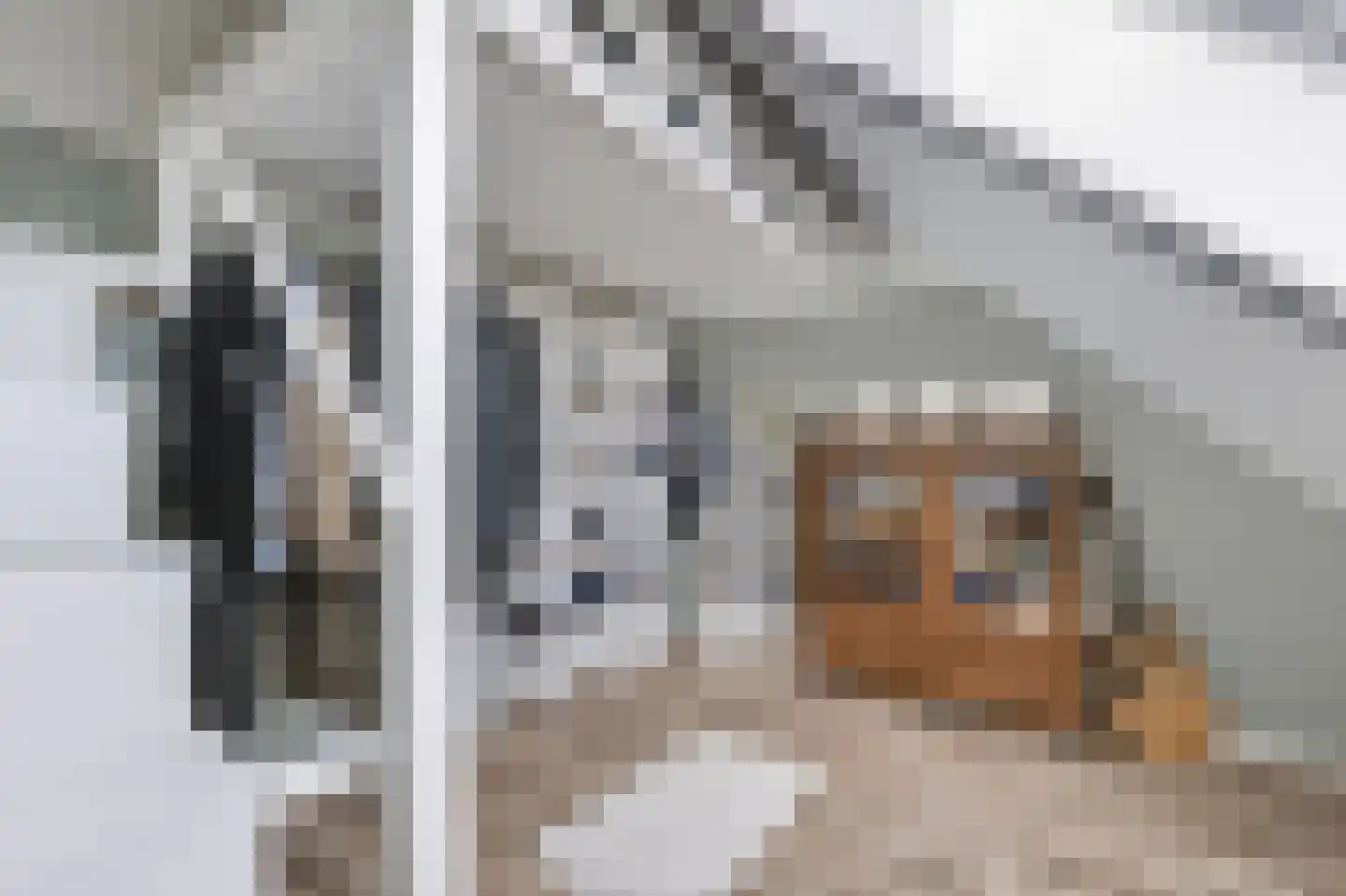 Krulzoom 46 Assen thumbnail 19