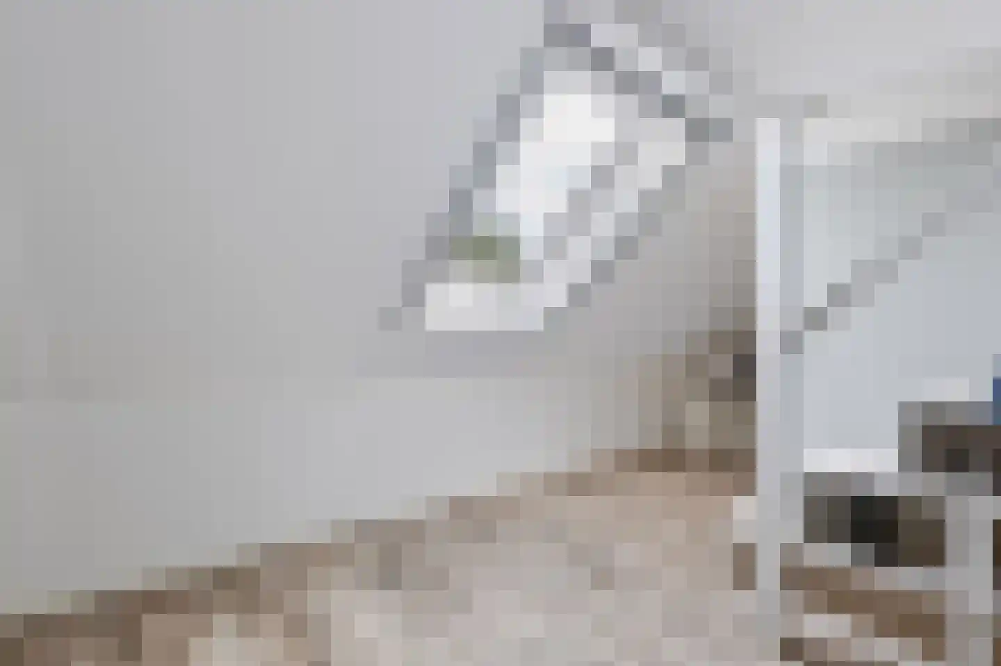 Krulzoom 46 Assen thumbnail 20