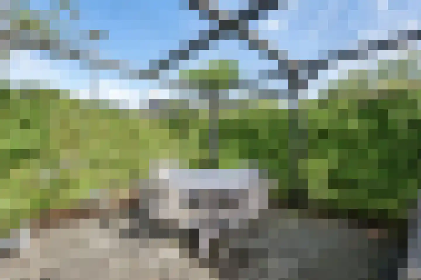 Krulzoom 46 Assen thumbnail 24