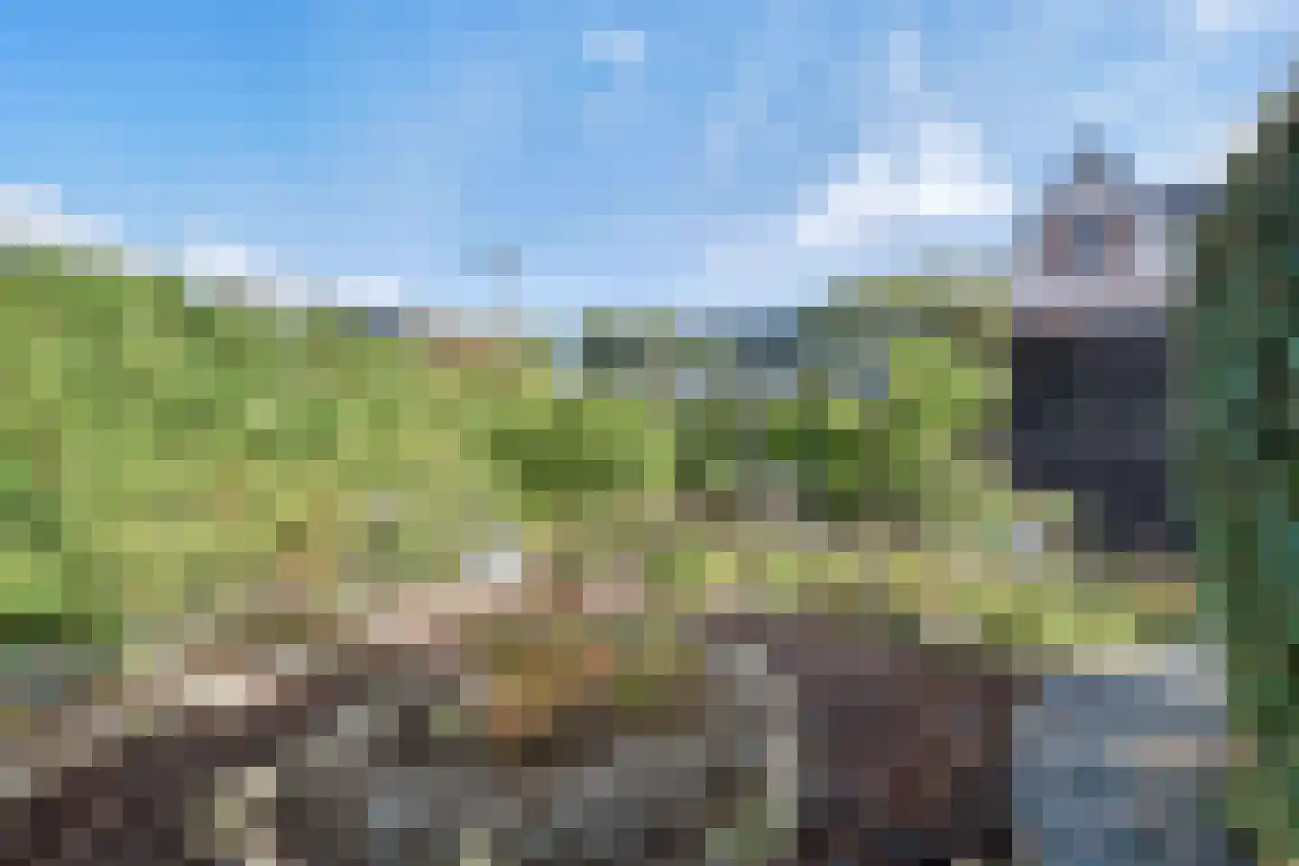 Krulzoom 46 Assen thumbnail 25