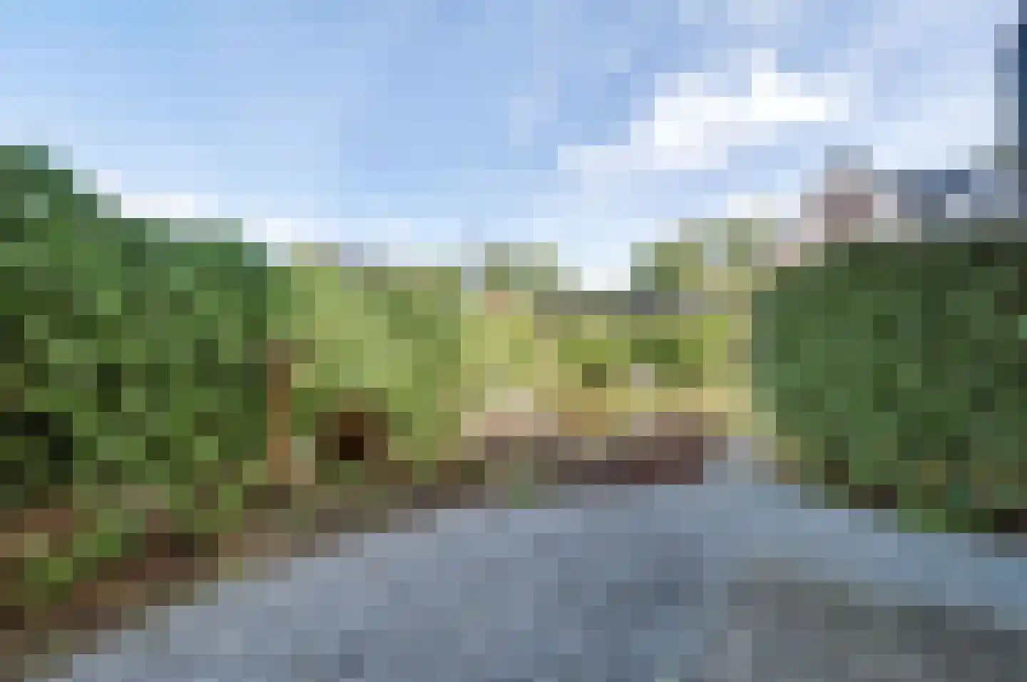 Krulzoom 46 Assen thumbnail 26