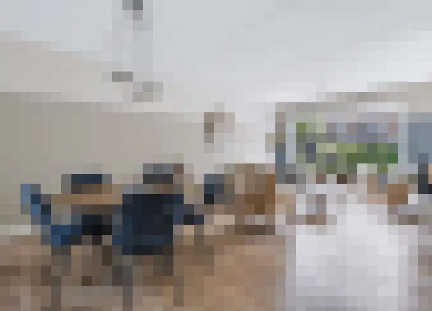 Krulzoom 46 Assen thumbnail 4