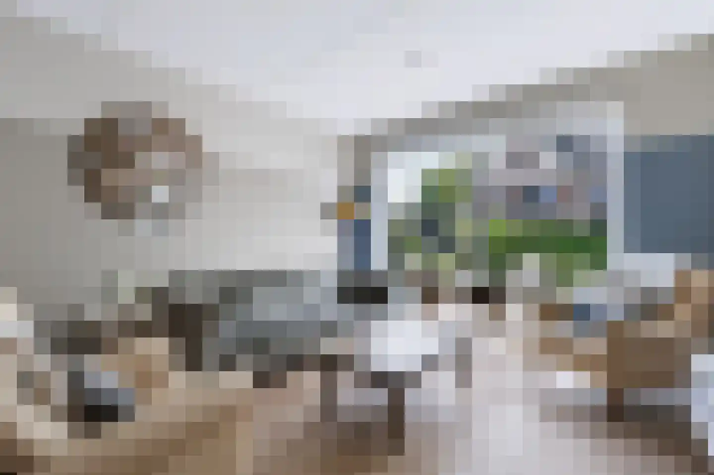 Krulzoom 46 Assen thumbnail 5