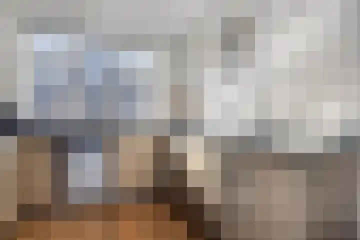 Krulzoom 9 Apeldoorn thumbnail 11