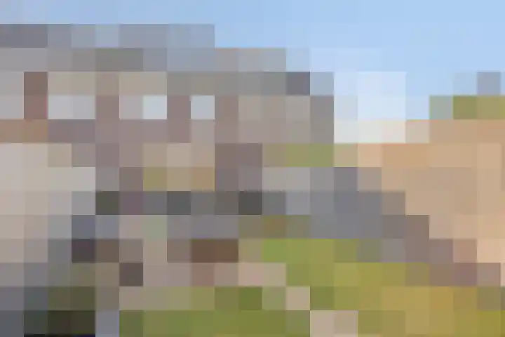 Krulzoom 9 Apeldoorn thumbnail 13