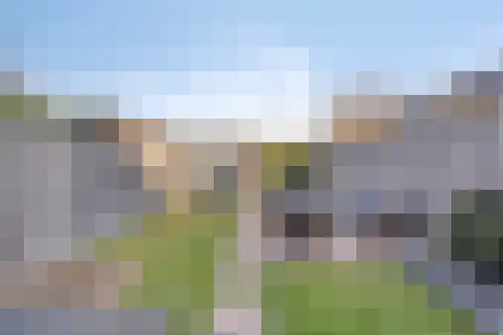 Krulzoom 9 Apeldoorn thumbnail 14