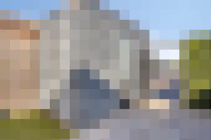 Krulzoom 9 Apeldoorn thumbnail 16