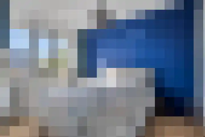 Krulzoom 9 Apeldoorn thumbnail 18