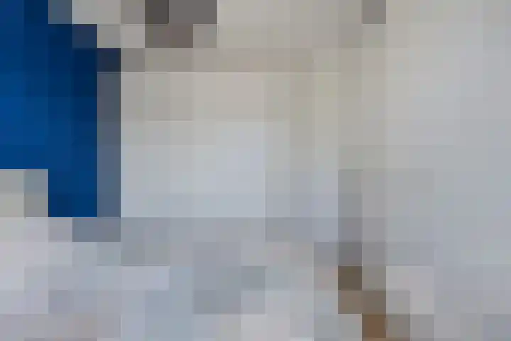 Krulzoom 9 Apeldoorn thumbnail 19