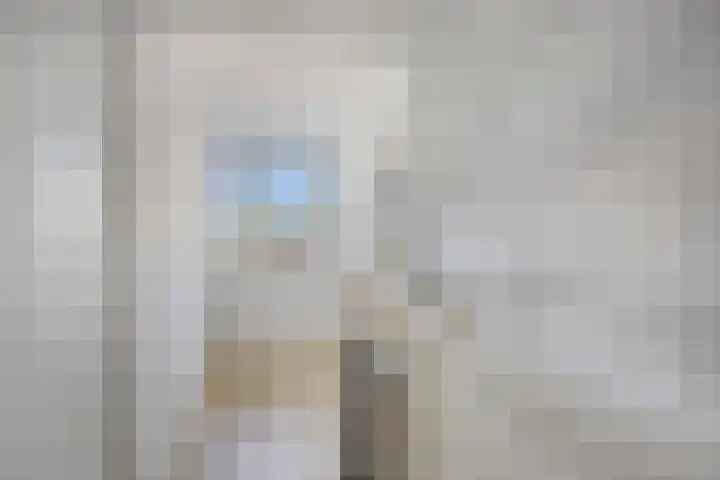 Krulzoom 9 Apeldoorn thumbnail 25