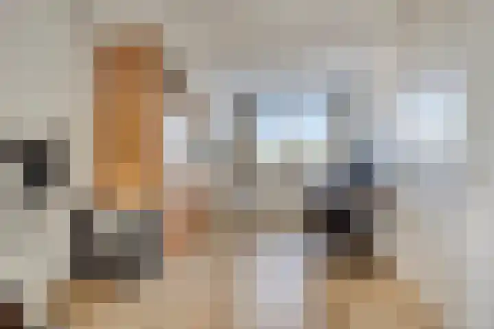 Krulzoom 9 Apeldoorn thumbnail 26