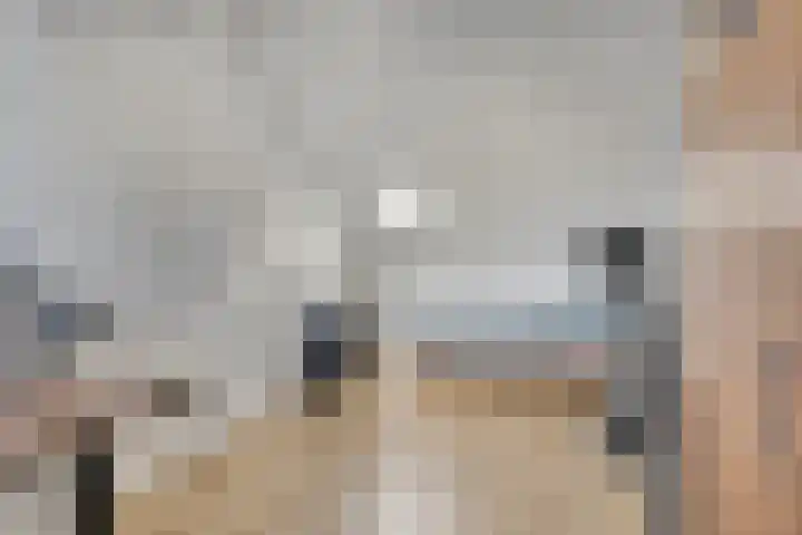 Krulzoom 9 Apeldoorn thumbnail 27