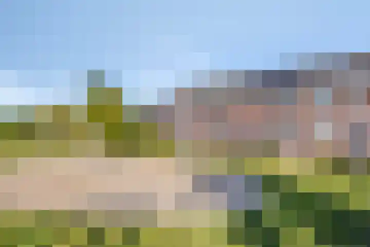 Krulzoom 9 Apeldoorn thumbnail 28