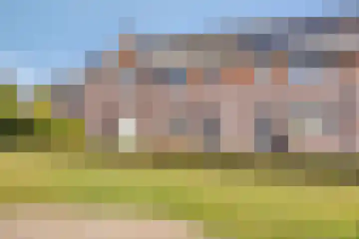 Krulzoom 9 Apeldoorn thumbnail 4