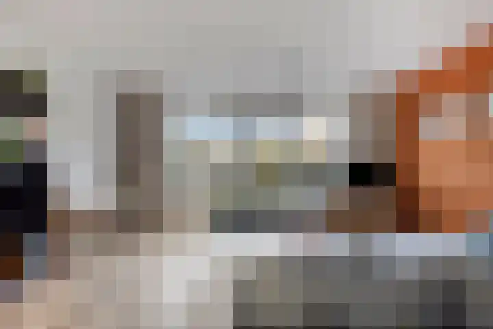 Krulzoom 9 Apeldoorn thumbnail 6