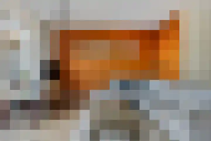 Krulzoom 9 Apeldoorn thumbnail 7