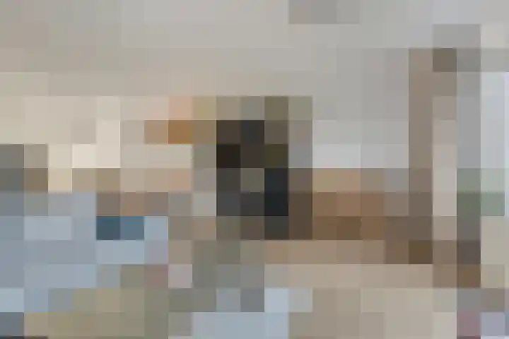 Krulzoom 9 Apeldoorn thumbnail 8