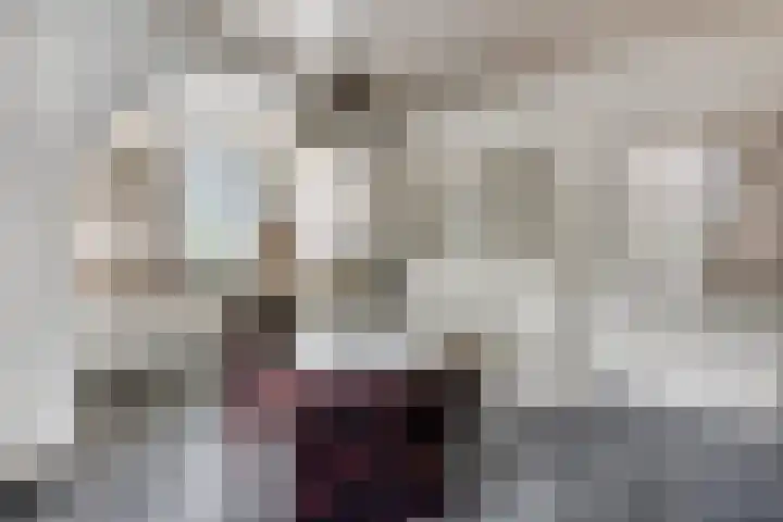 Krumselaarseweg 16 Barneveld thumbnail 10