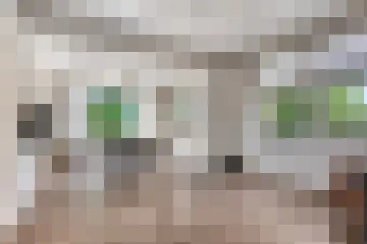 Krumselaarseweg 16 Barneveld thumbnail 11