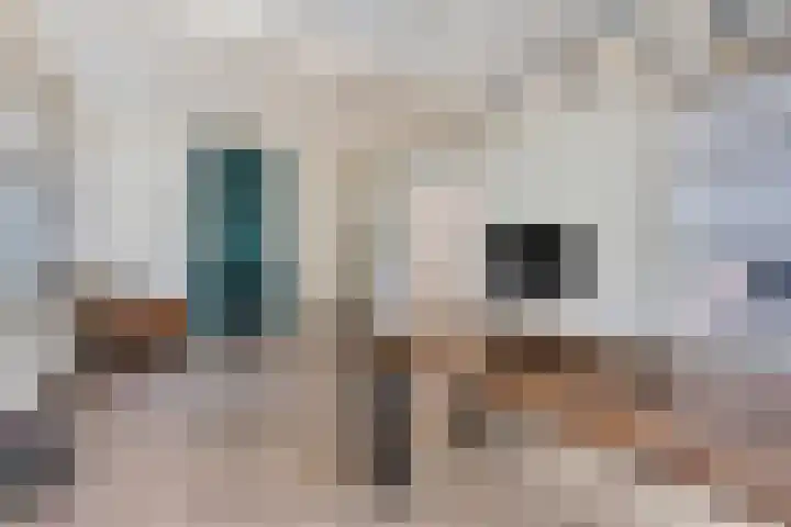 Krumselaarseweg 16 Barneveld thumbnail 12